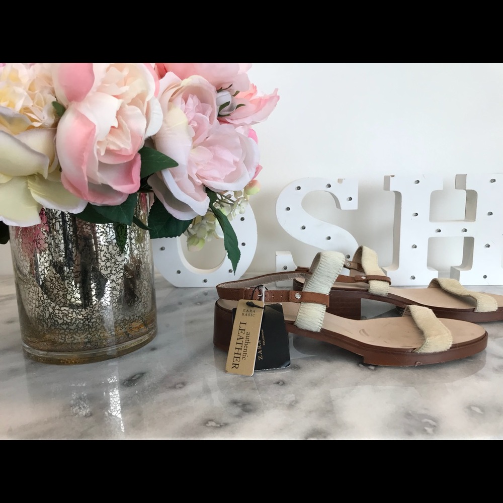 Zara Shoes